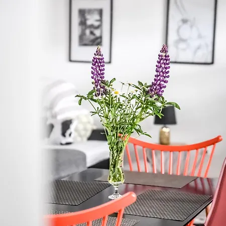 Dwupoziomowe Na Dwa Widoki Z Jacuzzi & Sauna * Zakopane